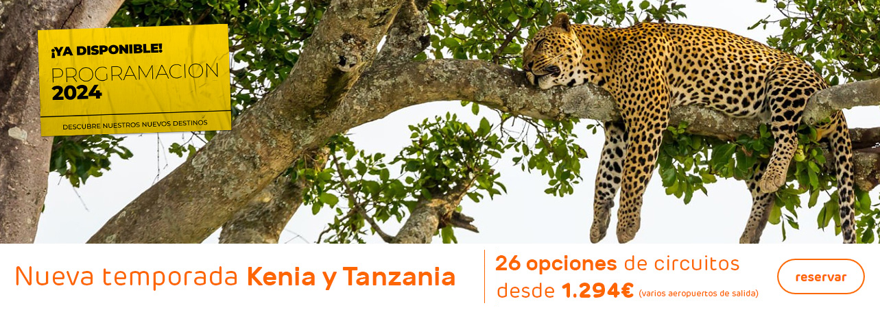 Ofertas de Safaris en Kenia y Tanzania 2024