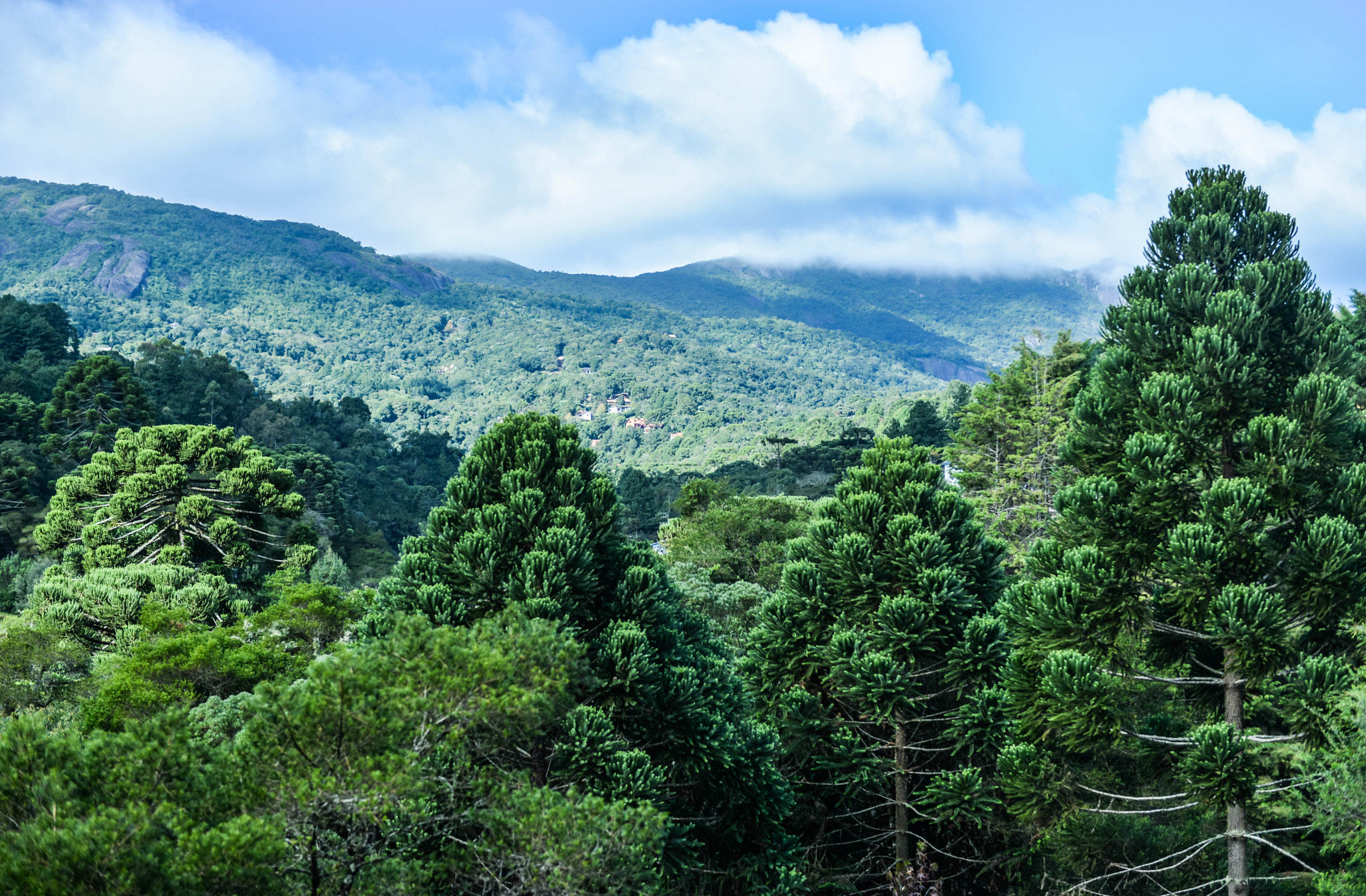 Monte Verde Brasil Invierno