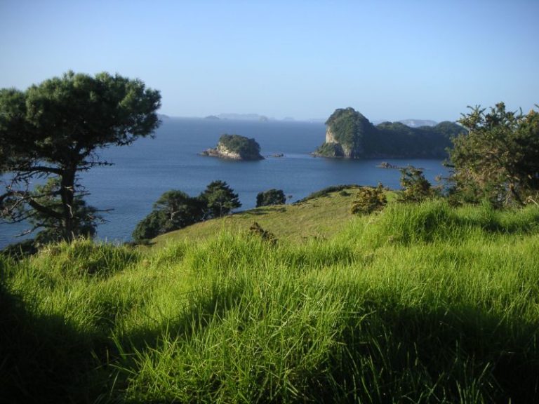 coromandel en Nueva Zelanda- uno de los paisajes mas bonitos