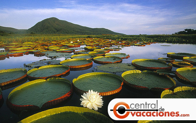 Turismo en la ciudad de Vitória, Brasil: Turismo en Virória, Brasil