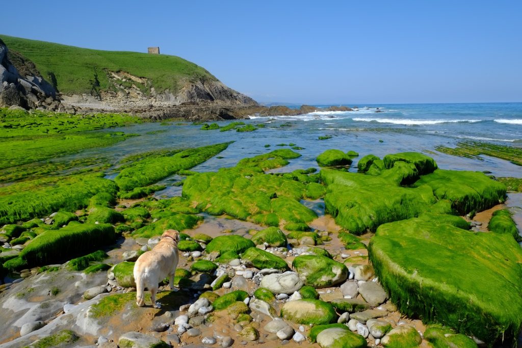 10 destinos de mar y montaña: Cantabria