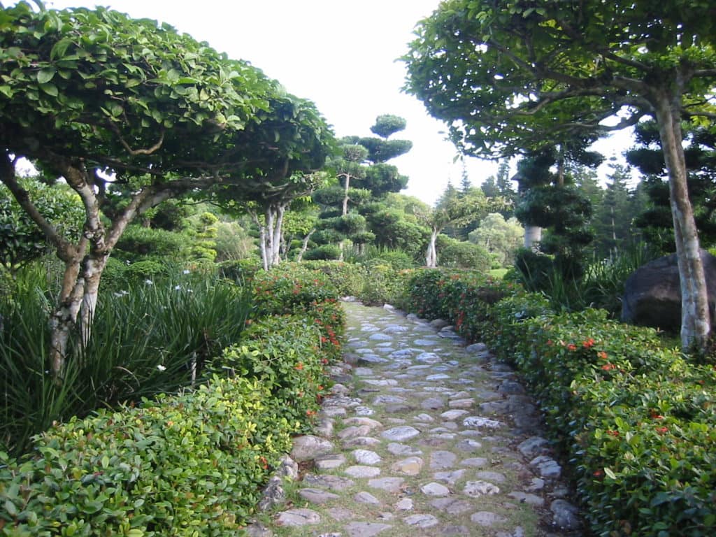 Qué hacer en Santo Domingo, República Dominicana: Jardin en Santo Domingo