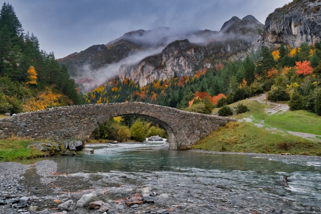 Los mejores sitios para visitar en otoño en España: La selva de Irati