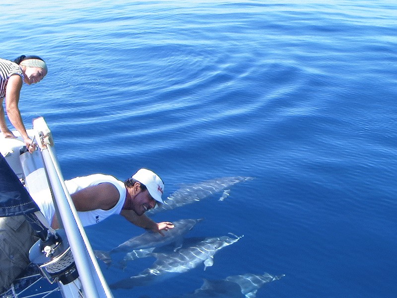 Qué hacer en las Canarias: Mar de las Canarias