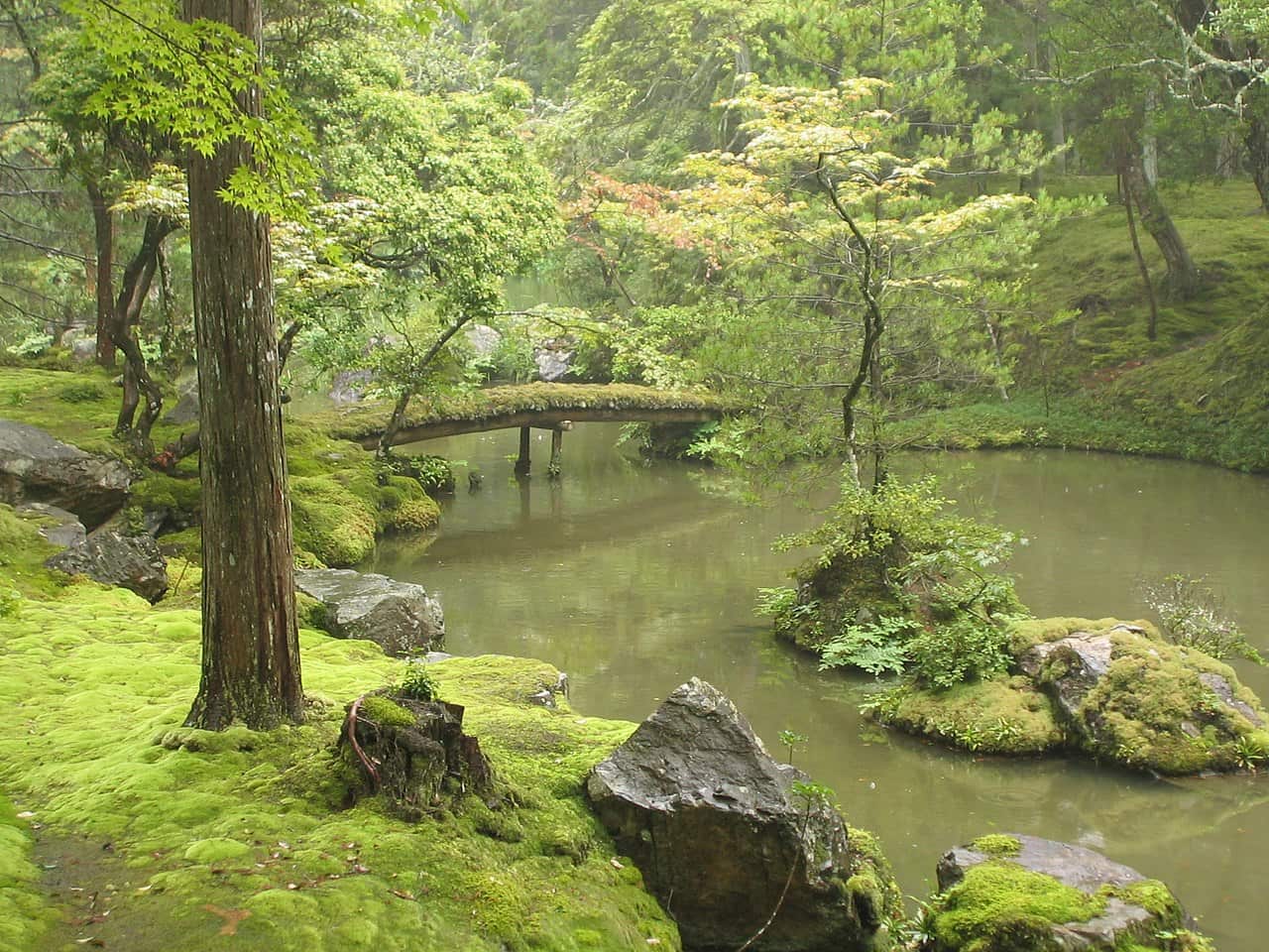 El Parque Imperial en Kyoto: Parque Imperial de Kyoto