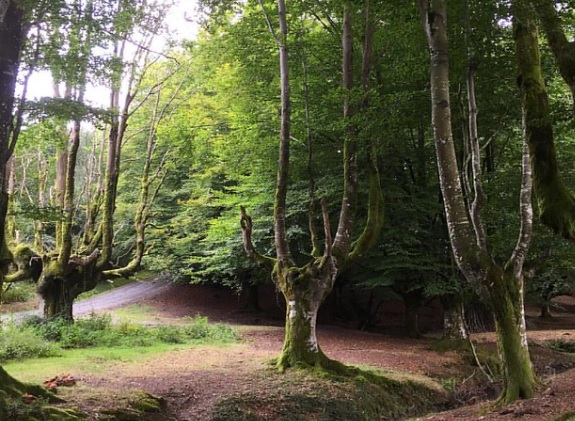 Los mejores sitios para visitar en otoño en España: Parque Natural de Gorbeia