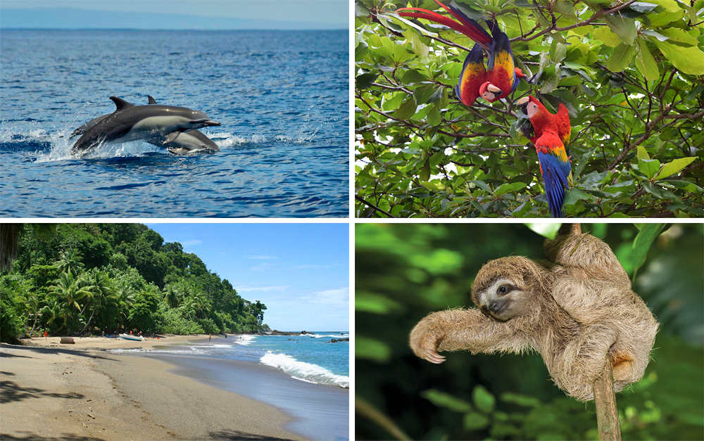 ¿Qué hacer en Costa Rica?: Turismo en Costa Rica