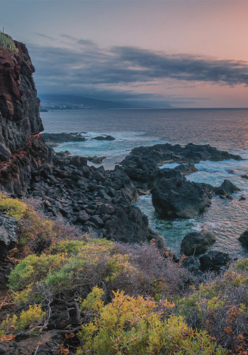 Vuelo + hotel a Canarias: Tenerife