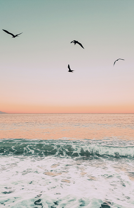 playas fuerteventura