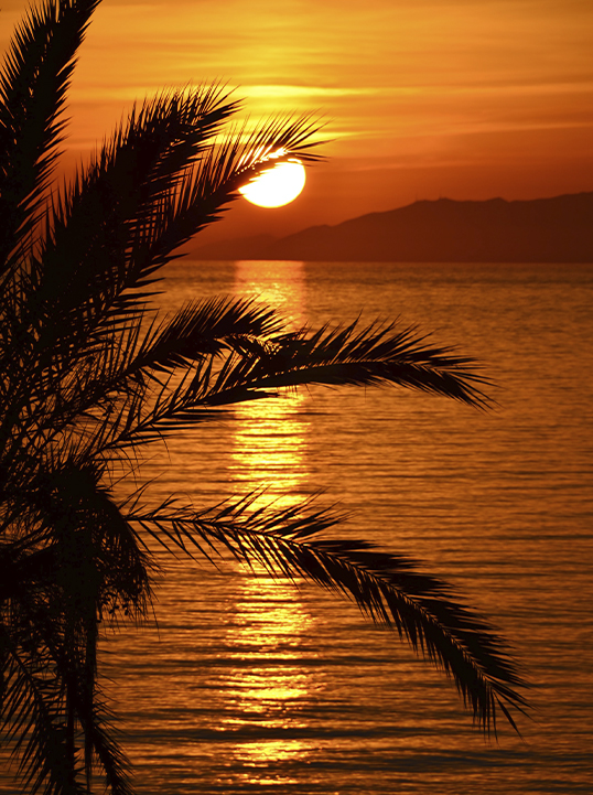 sol en Palma de Mallorca