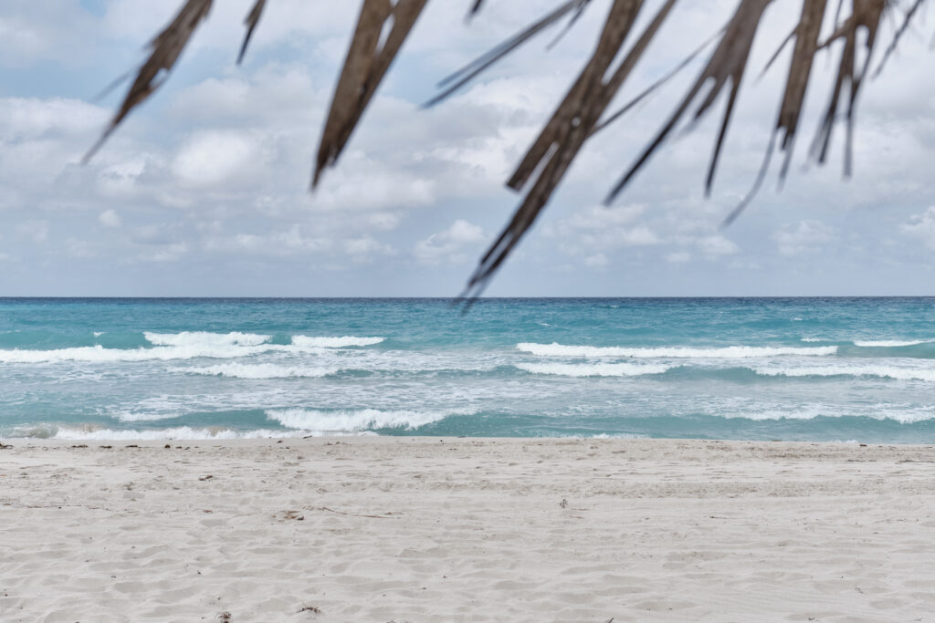PLAYA DE AREBA BLANCA EN VARADERO- CUBA