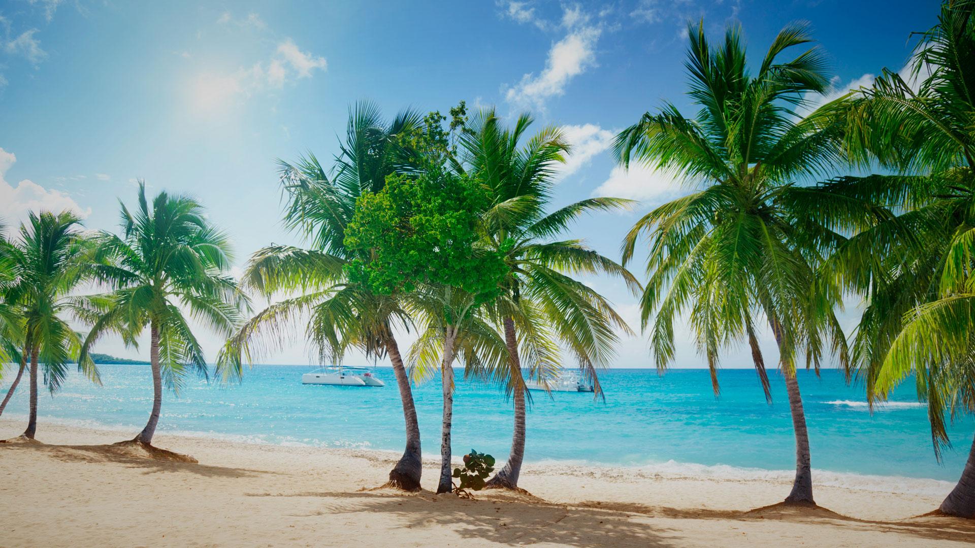 https://www.centraldevacaciones.com/viajes/assets/upload/d2264.jpg