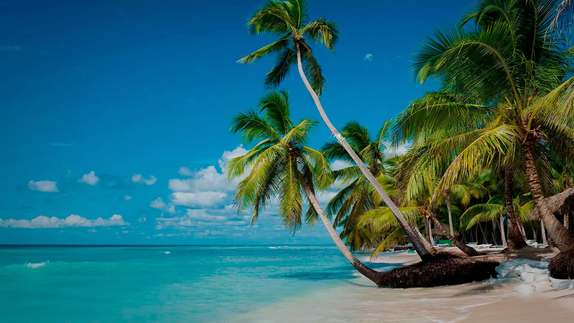 novedad Leeds Proceso Ofertas de viaje a Punta Cana ☀️ y casi 2x1 ⛱️ | Central de Vacaciones ✈️
