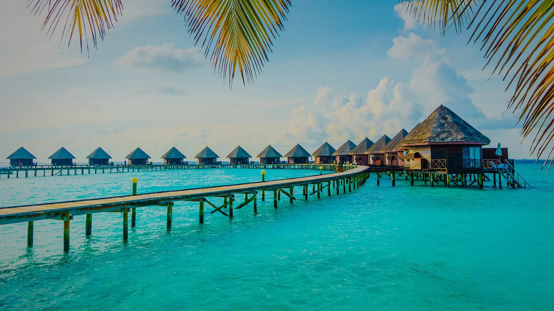 https://www.centraldevacaciones.com/viajes/assets/upload/p128.webp